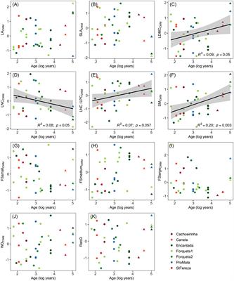 Canopy Leaf Traits, Basal Area, and Age Predict Functional Patterns of Regenerating Communities in Secondary Subtropical Forests